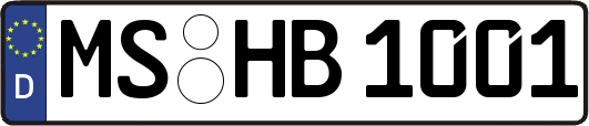 MS-HB1001