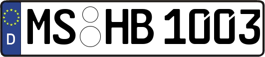 MS-HB1003