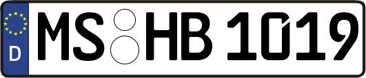 MS-HB1019