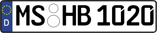 MS-HB1020