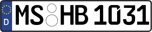 MS-HB1031