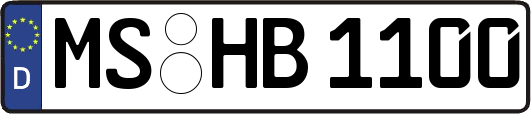 MS-HB1100