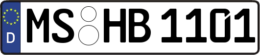 MS-HB1101
