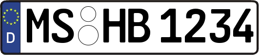 MS-HB1234