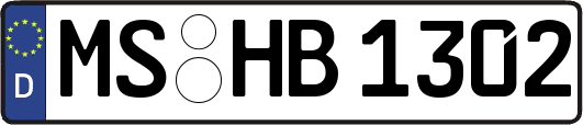 MS-HB1302
