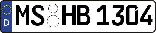 MS-HB1304