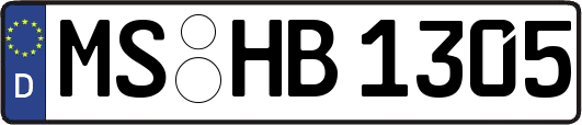 MS-HB1305