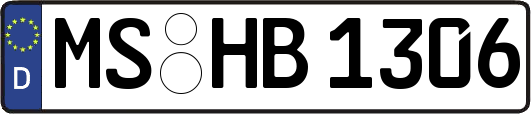 MS-HB1306