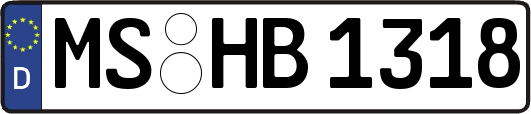 MS-HB1318