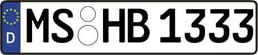 MS-HB1333