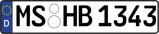 MS-HB1343