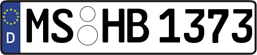 MS-HB1373