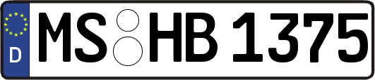MS-HB1375