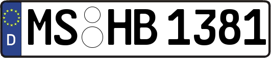 MS-HB1381