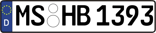 MS-HB1393