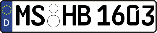 MS-HB1603
