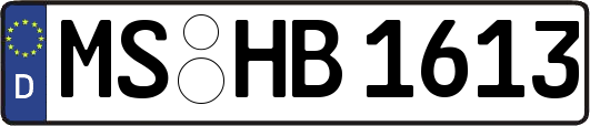 MS-HB1613