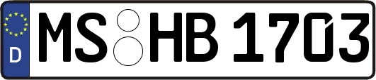 MS-HB1703