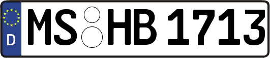 MS-HB1713