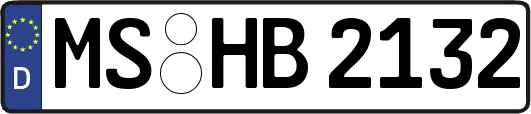 MS-HB2132
