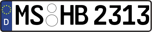 MS-HB2313