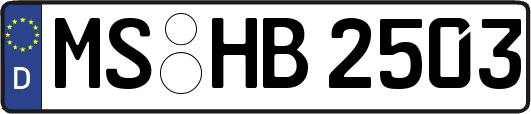 MS-HB2503