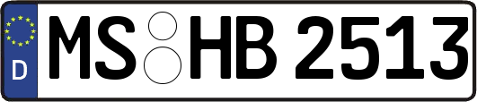 MS-HB2513