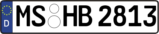 MS-HB2813