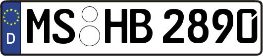 MS-HB2890