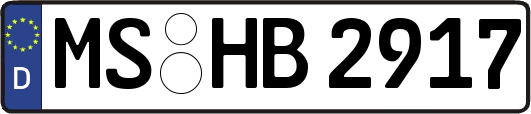 MS-HB2917