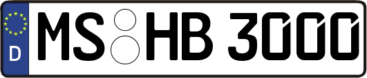 MS-HB3000