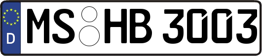 MS-HB3003