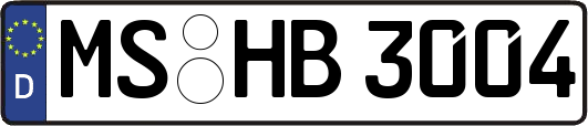 MS-HB3004