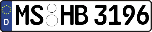 MS-HB3196