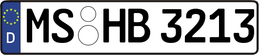 MS-HB3213