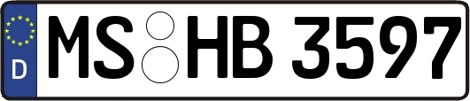 MS-HB3597