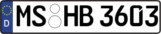 MS-HB3603