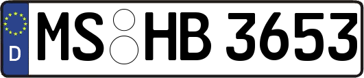 MS-HB3653