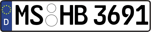 MS-HB3691
