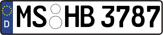 MS-HB3787