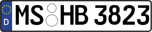 MS-HB3823