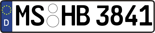 MS-HB3841