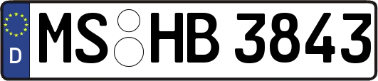 MS-HB3843