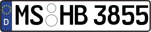 MS-HB3855