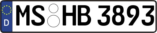 MS-HB3893
