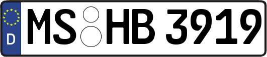 MS-HB3919