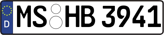 MS-HB3941