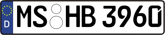 MS-HB3960