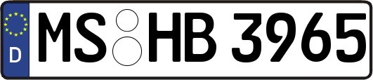 MS-HB3965