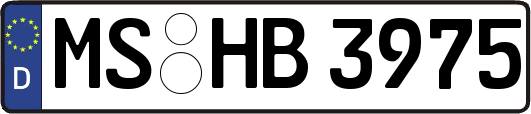MS-HB3975